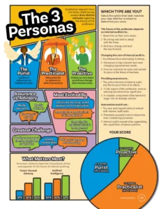 the-3-internal-auditor-personas testi