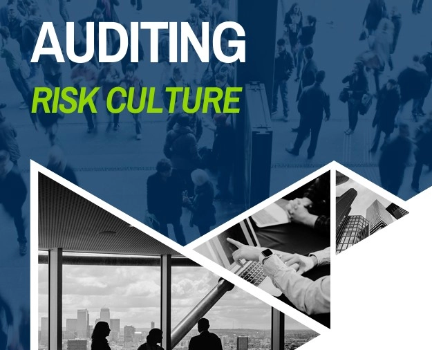 AuditingRiskCulture-julkaisun kansi